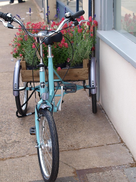 bicycle shop sales consultation training